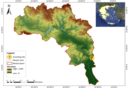 $publishedArticle->coverImageAltText