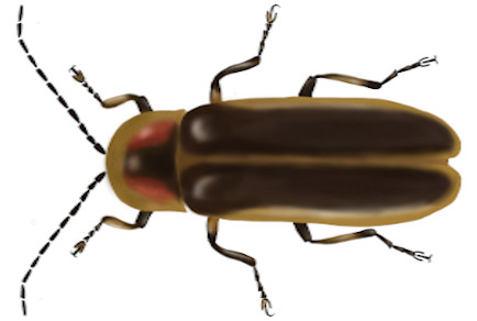 $publishedArticle->coverImageAltText