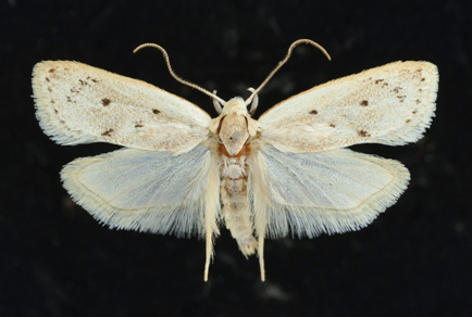 $publishedArticle->coverImageAltText