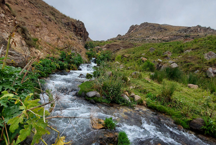 $publishedArticle->coverImageAltText