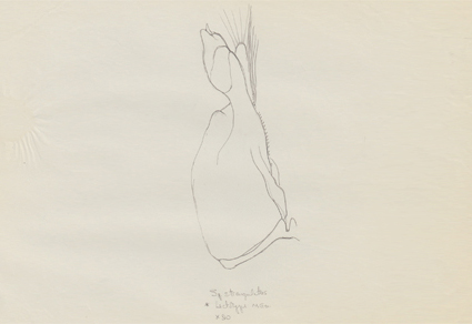 $publishedArticle->coverImageAltText