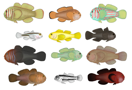 $publishedArticle->coverImageAltText