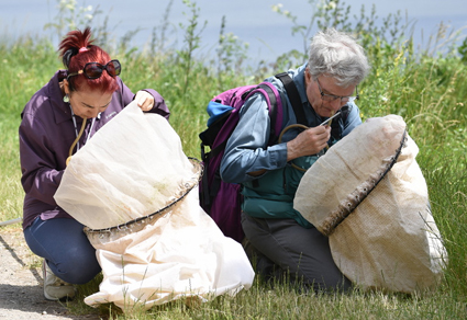 $publishedArticle->coverImageAltText