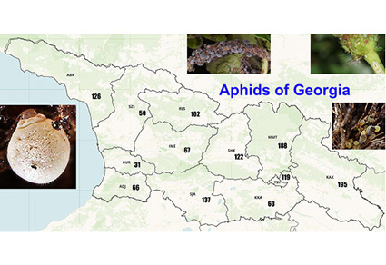 $publishedArticle->coverImageAltText