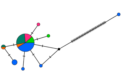 $publishedArticle->coverImageAltText