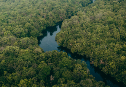 $publishedArticle->coverImageAltText