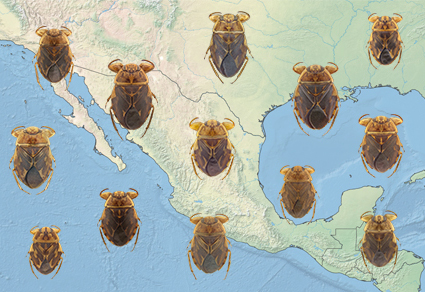 $publishedArticle->coverImageAltText