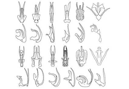 $publishedArticle->coverImageAltText