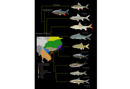 $publishedArticle->coverImageAltText