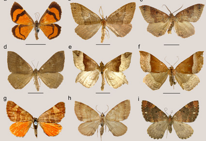 $publishedArticle->coverImageAltText