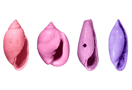 $publishedArticle->coverImageAltText