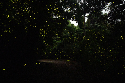 $publishedArticle->coverImageAltText