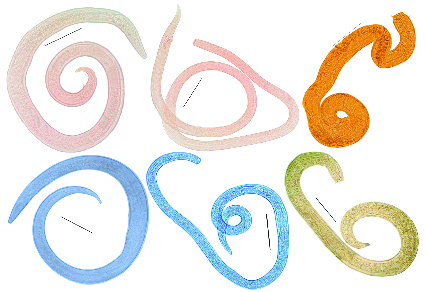 $publishedArticle->coverImageAltText