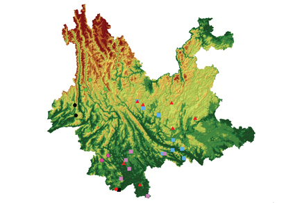 $publishedArticle->coverImageAltText