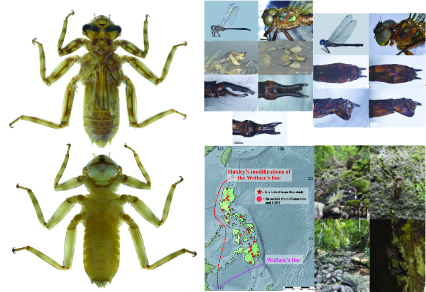 $publishedArticle->coverImageAltText