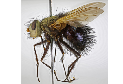 $publishedArticle->coverImageAltText