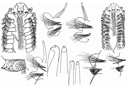 $publishedArticle->coverImageAltText