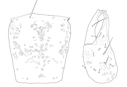 $publishedArticle->coverImageAltText