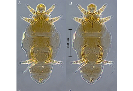 $publishedArticle->coverImageAltText