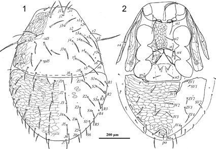 $publishedArticle->coverImageAltText