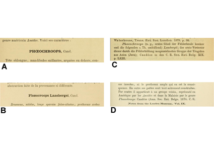 $publishedArticle->coverImageAltText