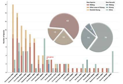 $publishedArticle->coverImageAltText