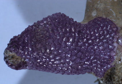 $publishedArticle->coverImageAltText