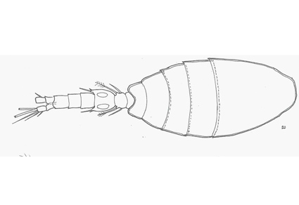 $publishedArticle->coverImageAltText