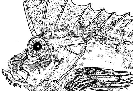 $publishedArticle->coverImageAltText