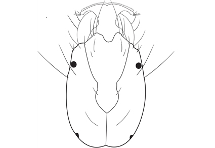 $publishedArticle->coverImageAltText