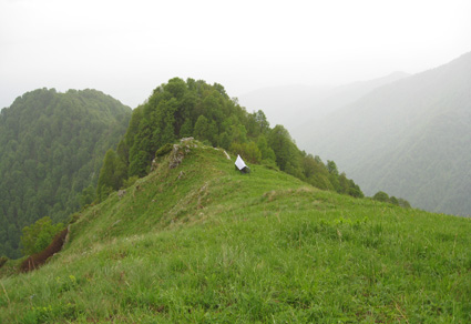 $publishedArticle->coverImageAltText