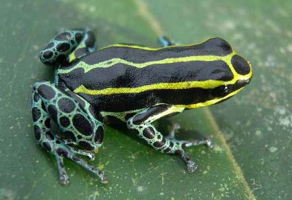 $publishedArticle->coverImageAltText