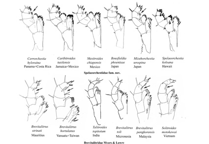 $publishedArticle->coverImageAltText