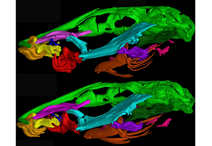 $publishedArticle->coverImageAltText