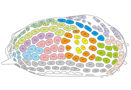 $publishedArticle->coverImageAltText