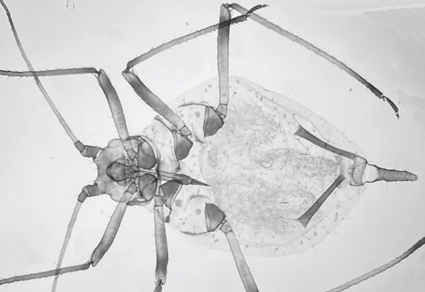 $publishedArticle->coverImageAltText