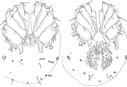 $publishedArticle->coverImageAltText