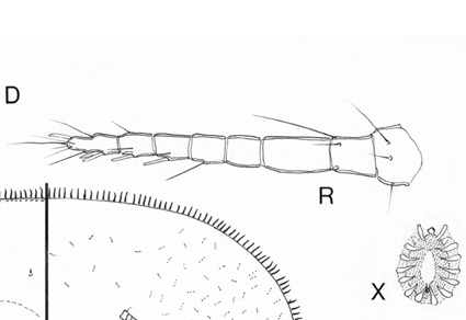 $publishedArticle->coverImageAltText