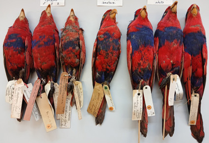 $publishedArticle->coverImageAltText