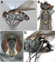 $publishedArticle->coverImageAltText