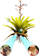 $publishedArticle->coverImageAltText