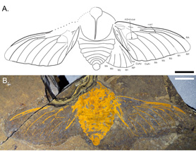 $publishedArticle->coverImageAltText