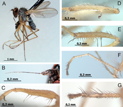 $publishedArticle->coverImageAltText