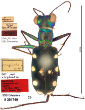 $publishedArticle->coverImageAltText